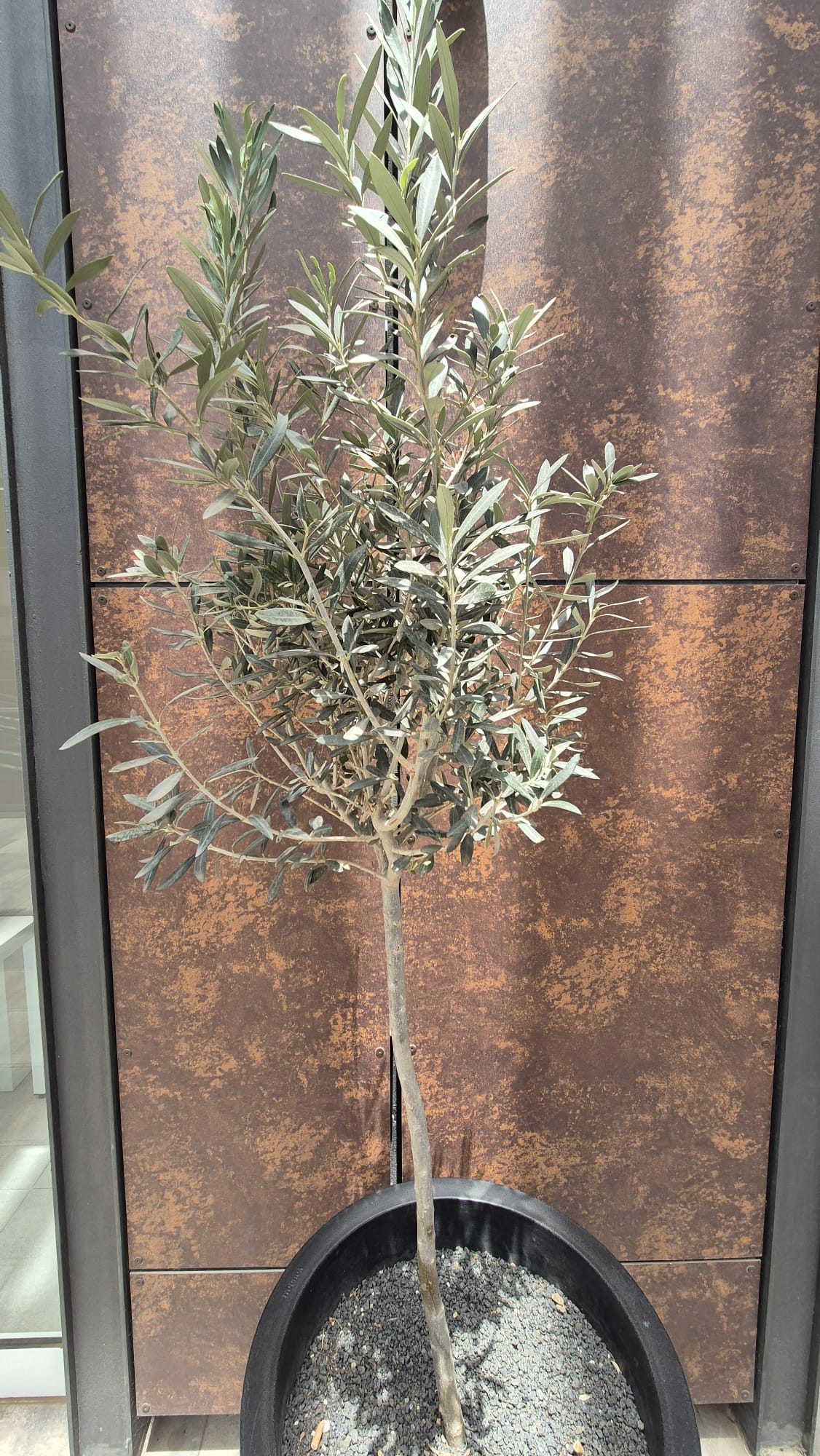 Blat Quartz Decore Ocra